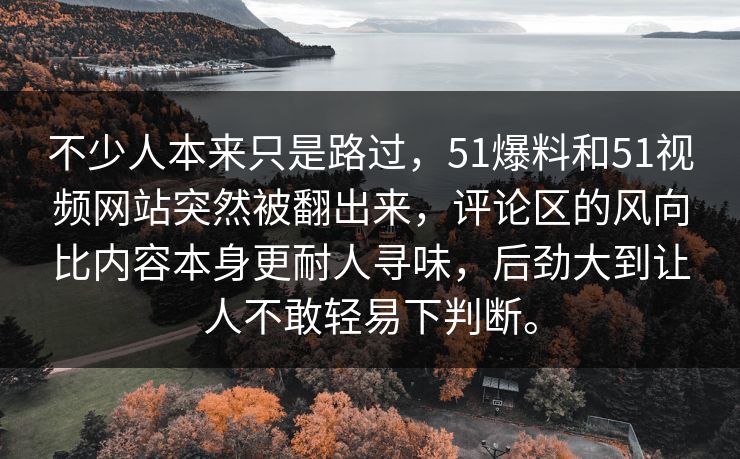 不少人本来只是路过，51爆料和51视频网站突然被翻出来，评论区的风向比内容本身更耐人寻味，后劲大到让人不敢轻易下判断。